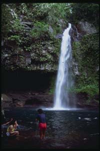 http://www.fijiguide.com/Images/waterfall.jpg